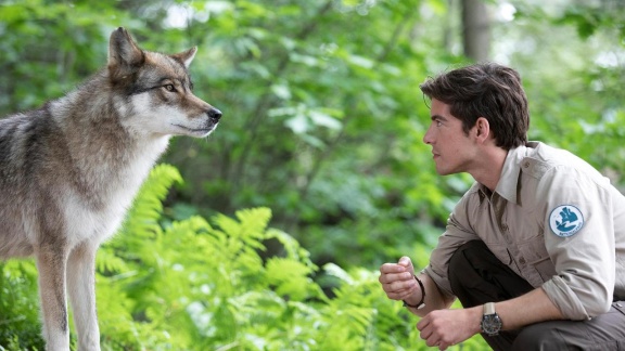 Filme Im Ersten - Der Ranger - Paradies Heimat: Wolfsspuren