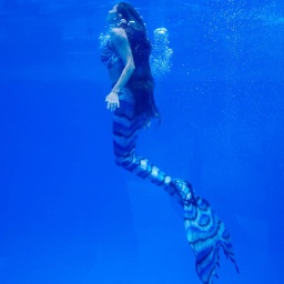 Underwater model Anastasia Slobodchikova dressed as a mermaid performs at the Primorye Oceanarium of the Russian Academy of Sciences on Russky Island.