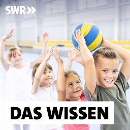 Kinder bei einem Ballspiel in einer Sporthalle: Zeitgemäßer Schulsport trainiert nicht nur verschiedene Sportarten, sondern auch soziale Fähigkeiten. Er motiviert Kinder und Jugendliche zur Bewegung.