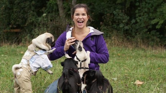 Anna, Pia Und Die Haustiere - Mops