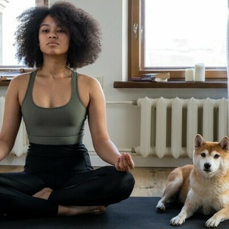Eine Frau macht Yoga, neben ihr sitzt ein Hund.