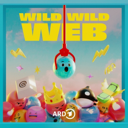 Wild Wild Web | Bild: BR/Simon Heimbuchner