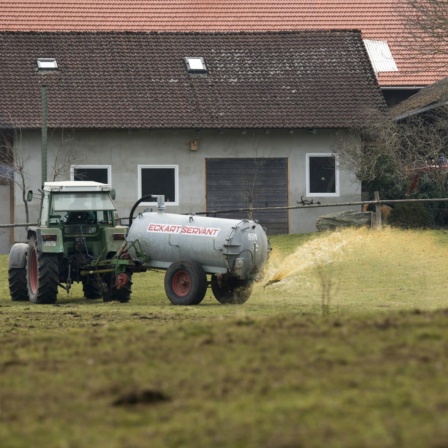 Gülletourismus in Bayern: Warum der Grundwasserschutz auf der Strecke bleibt