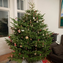 Weihnachtsbaum im Wohnzimmer © picture alliance / Schoening