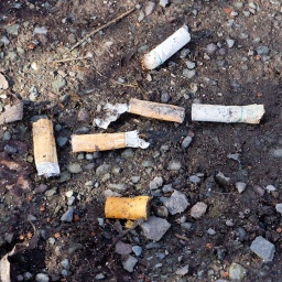 Zigarettenkippen auf dem Boden 