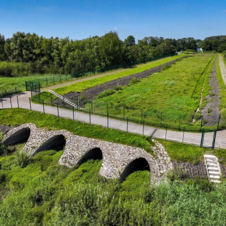 Regenüberlaufbecken an der renaturierten Boye, der Nebenfluss der Emscher, wurde zum naturnahem Gewässer umgestaltet. 