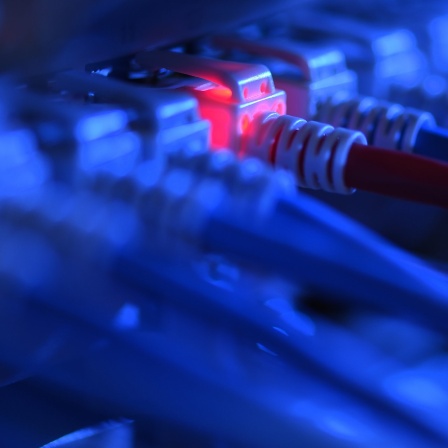 Ein Netzwerkkabelstecker leuchtet in einer Netzwerkzentrale rot