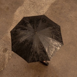 Ein schwarzer Regenschirm aus Vogelperspektive.