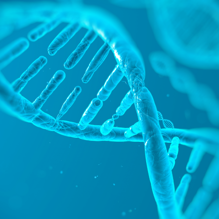 Neues aus der Wissenschaft - Die Wissenschaftsmeldungen aus "Forschung aktuell"
