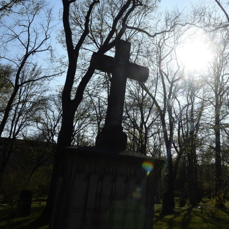 Die Sonne scheint hinter den Bäumen und eine Kreuz des Alten Nördlichen Friedhof.