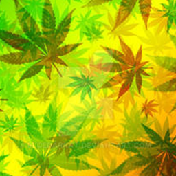 marijuana_leaves_rasta_pattern