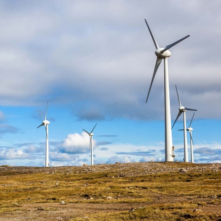 Windräder stehen in einer Landschaft auf den Färöer-Inseln