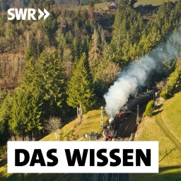 SWR2 Wissen · Podcast in der ARD Audiothek
