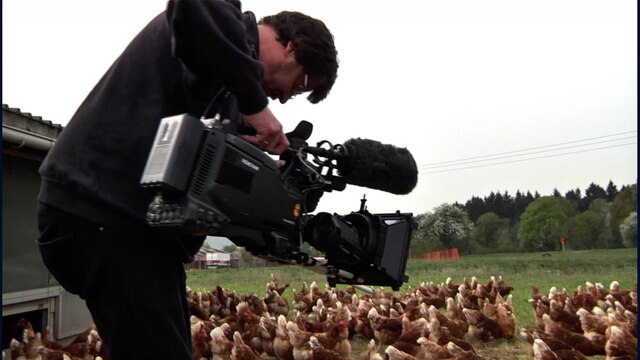 Ein Kameramann filmt Hühner