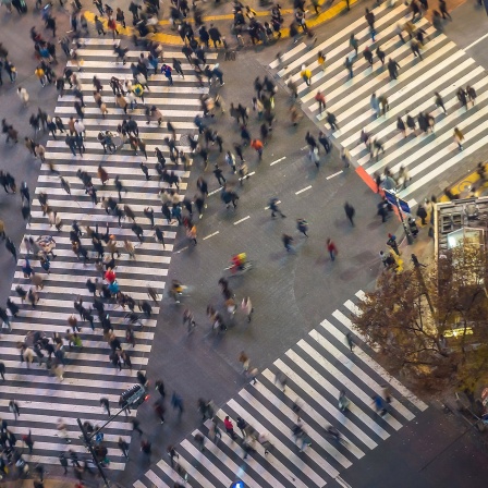 Tokyo Zebrastreifen