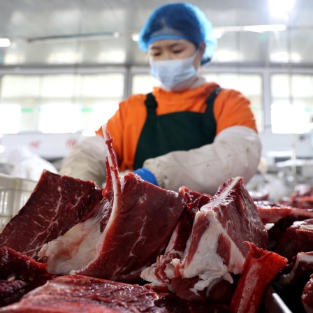 Eine Arbeiterin zerteilt Rindfleisch in der Schlachterei eines rindfleischverarbeitenden Unternehmens in Binzhou, Ostchinas Provinz Shandong.