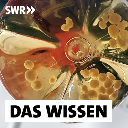 Ein Forscher hält eine Flasche mit Gehirnorganoiden in der Hand: In Organoiden, organähnlichen dreidimensionale Gewebestücken aus menschlichen Zellen, steckt großes Potenzial: An den &#034;Mini-Organen&#034; lassen sich Krankheiten untersuchen, neue Medikamente und Therapien entwickeln. Und möglicherweise schon bald die Anzahl der Tierversuche reduzieren.