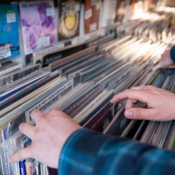 Hände durchsuchen ein Regal mit Schalplatten in einem Schallplattenladen.