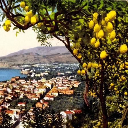 Sorrento Campania, Panoramaansicht der Stadt und des Sees, im Vordergrund ein Zitronenbaum