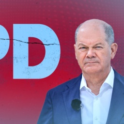 Scholz und die SPD