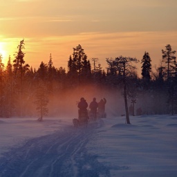 Menschen fahren bei Sonnenuntergang mit Hundeschlitten durch die unberuehrte Natur in Aekaeskero, Lappland, Finnland.