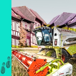 Teaserbild "Wo du hingehst" | Bild: picture alliance/dpa | Christoph Schmidt // picture alliance/dpa | Karl-Josef Hildenbrand // BR Montage