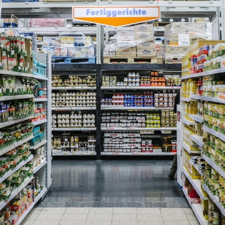Fertiggerichte - Was kommt da eigentlich auf den Tisch?
