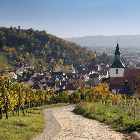 Uhlbach