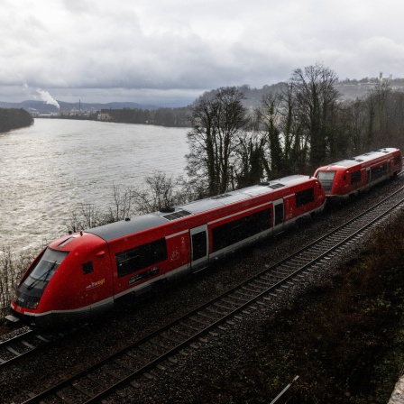 Ein Zug fährt auf der Strecke der Hochrheinbahn zwischen Basel und Erzingen. Im Hintergrund fließt der Rhein.
