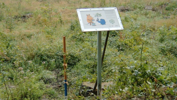 Die Maus - Update Maus-baum 2025