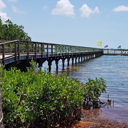 Eine Brücke in den Florida Keys im Süden der USA