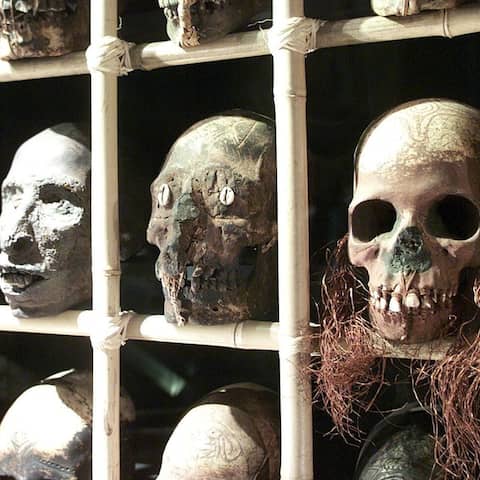 Schädel in Vitrinen im Museum für Völkerkunde in Dresden