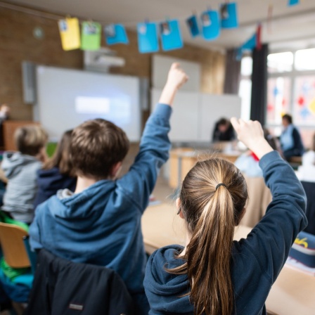Schüler einer fünften Klasse eines Gymnasiums melden sich im Unterricht.