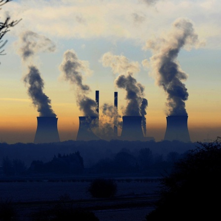 Ein Kraftwerk erhebt sich über dem Nebel und den frostbedeckten Feldern