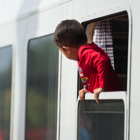 Ein Flüchtlingskind blickt am 13.09.2015 am Bahnhof von Uelzen (Niedersachsen) aus einem ankommenden Zug.