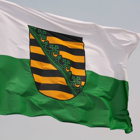 Wehende Fahne des Bundeslandes Sachsen