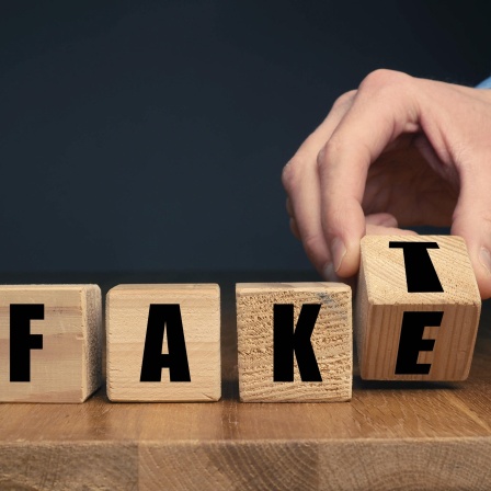 medien;wort;information;fakten;desinformation;Bildverwendung nur mit Urhebervermerk