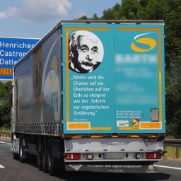 Was Einstein NIE gesagt hat: Ein Zitatforscher im Gespräch