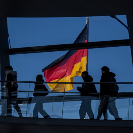 Wie blicken neu eingebürgerte Erstwähler auf die Bundestagswahl?