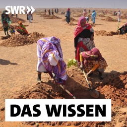 Menschen pflanzen im Jahr 2017 Bäume am Stadtrand von Khartum im Sudan. Mit der sogenannten &#034;Großen Grünen Mauer&#034;, einem Mosaik aus renaturierten Flächen, wollen afrikanische Staaten am Südrand der Sahara dafür kämpfen, dass das Überleben im Sahel möglich bleibt - trotz Verwüstung und Klimakrise. Seit 2007 wurden Milliarden investiert, trotzdem sind bisher laut einer UN-Studie nur 15 bis 18 Prozent des Projektes realisiert.