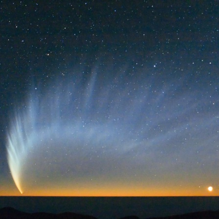 Komet McNaught bot 2007 eine beeindruckende Himmelserscheinung – so nah wie die Kreutz-Kometen kam er der Sonne aber nicht.