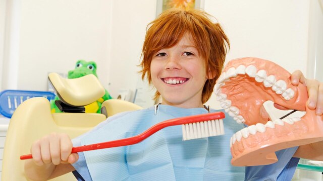 Zahnbürste und Zahnhygiene | Bild: picture alliance / imageBROKER | Dr. Wilfried Bahnmüller