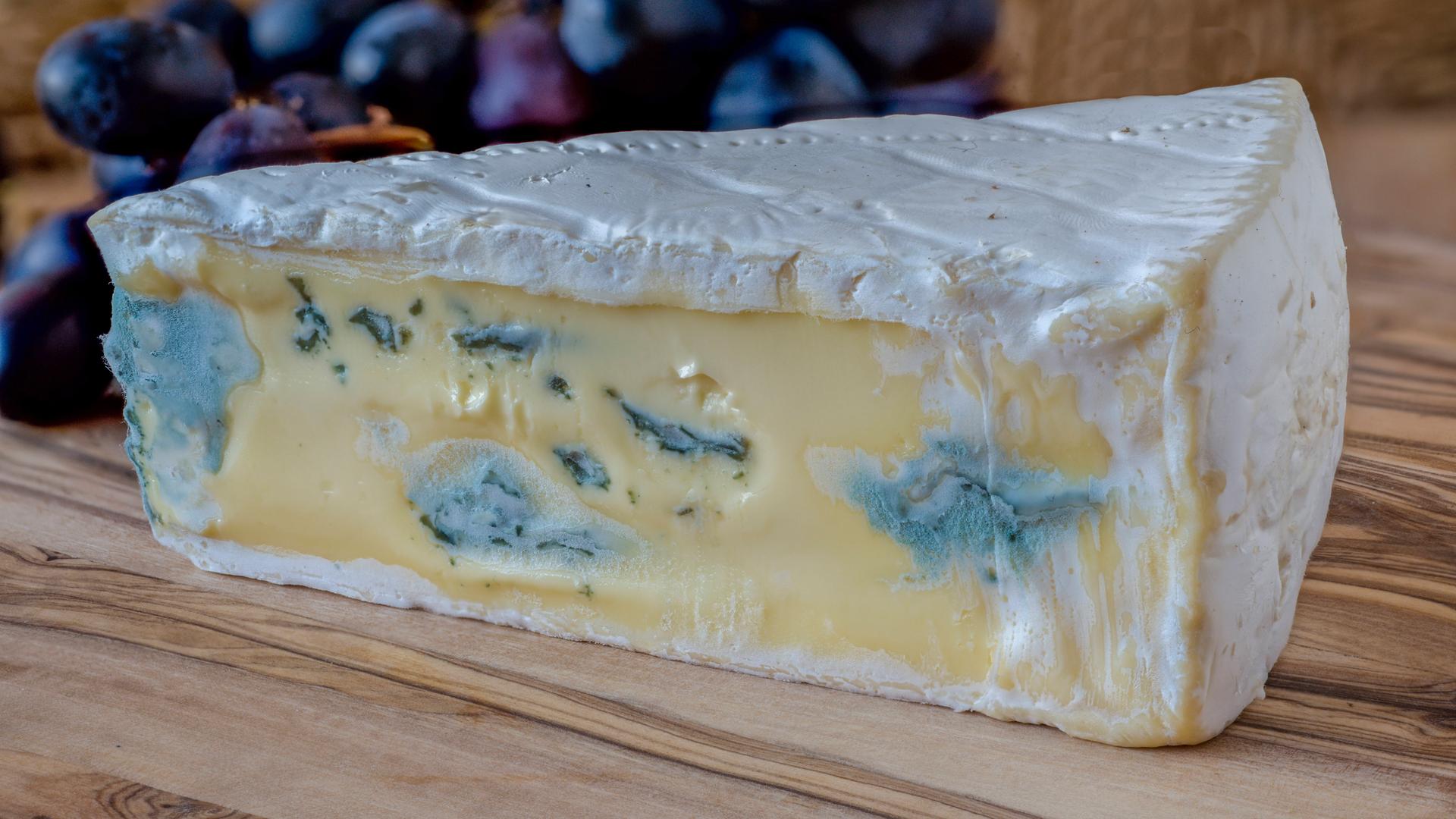 alles wissen Schimmel am Käse wann ist er genießbar? ARD Mediathek