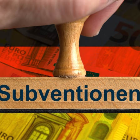 Foto mit Composing als Symbolbild für Wirtschaftssubventionen vom Staat zur Unterstützung für die Ansiedlung von Firmen