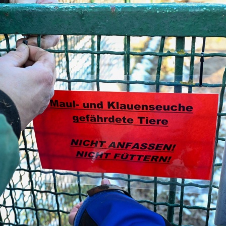 Mitarbeiter bringen am Tierhof Alt-Marzahn Schilder an, die auf die durch die Maul- und Klauenseuche gefährdeten Tiere hinweisen.