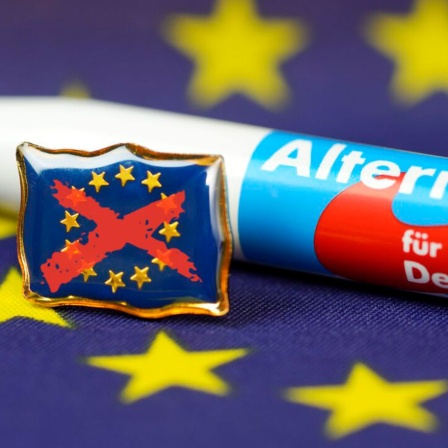 AfD-Kugelschreiber und durchgestrichene EU-Fahne (Bild: picture alliance/CHROMORANGE/Christian Ohde)