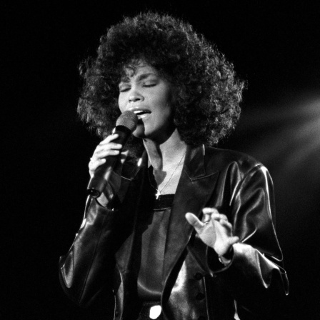 Whitney Houston 1988