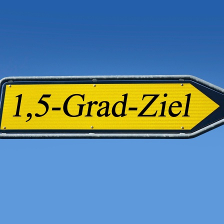 Wegweiser