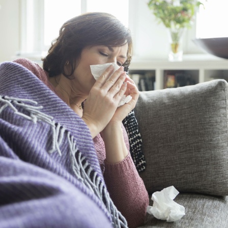 Frau liegt auf einem Sofa unter einer Decke und putzt sich die Nase. (Symbolbild) 