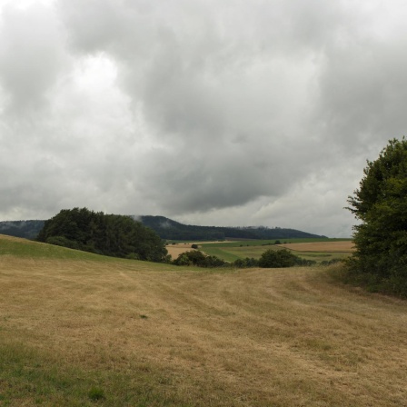 Hilfe, wenn die Seele streikt - Gespräch mit Heidi Perzl, Landwirtschaftliche Sozialversicherung